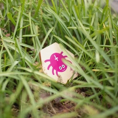 Close-up van een fiche met spin uit het beestjes zoekspel iche van het BS Toys Beestjes Zoekspel omdraait op het gras, met een duidelijke illustratie van een felgekleurde vlinder in beeld.